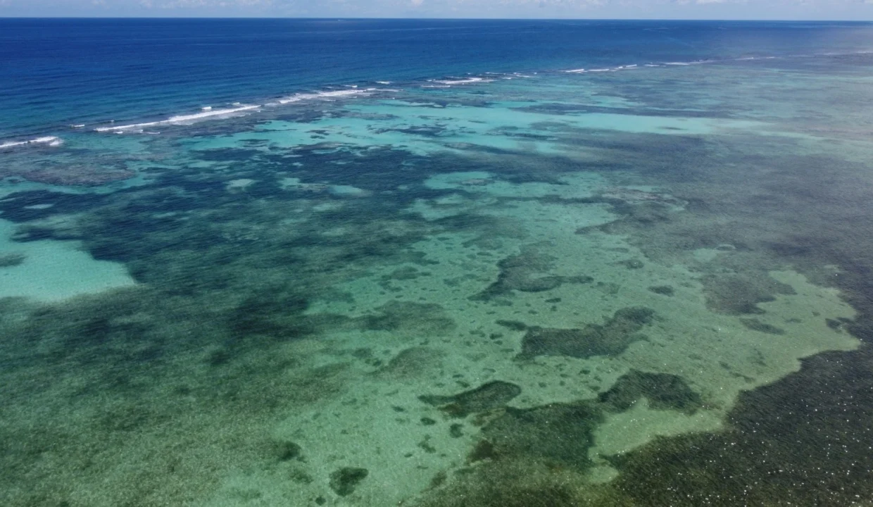 kellerwilliamsbelize-roblespoint-10