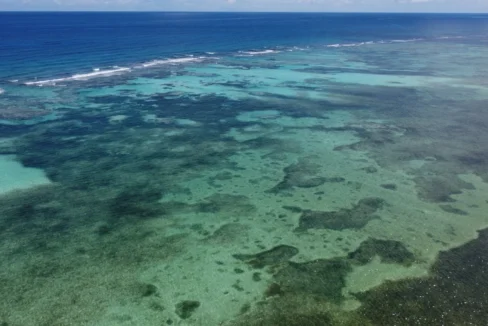 kellerwilliamsbelize-roblespoint-10