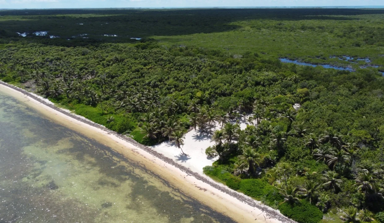 kellerwilliamsbelize-roblespoint-12