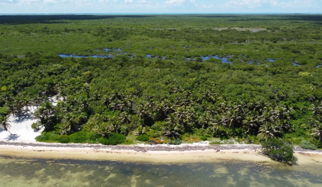 kellerwilliamsbelize-roblespoint-13