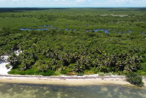 kellerwilliamsbelize-roblespoint-13