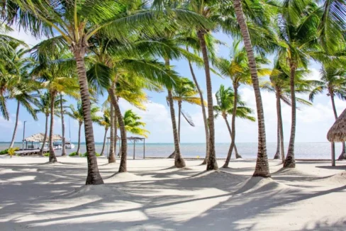 kellerwilliamsbelize-rsb7p14852-h12jc-15