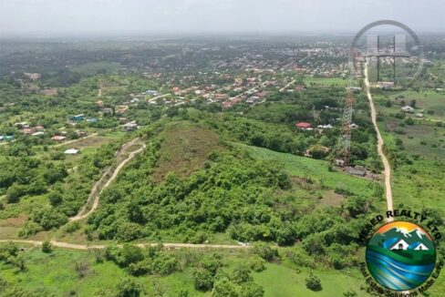 06