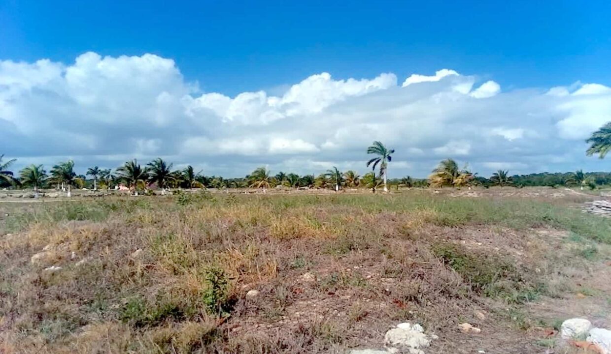 06