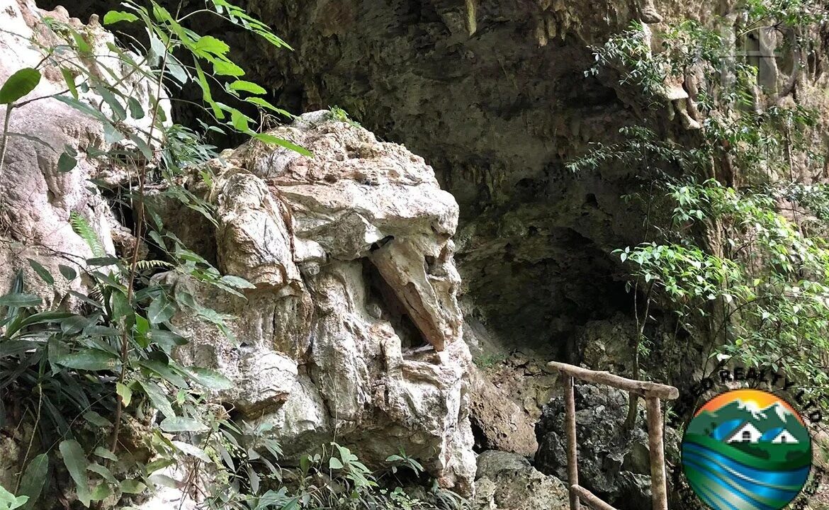 09