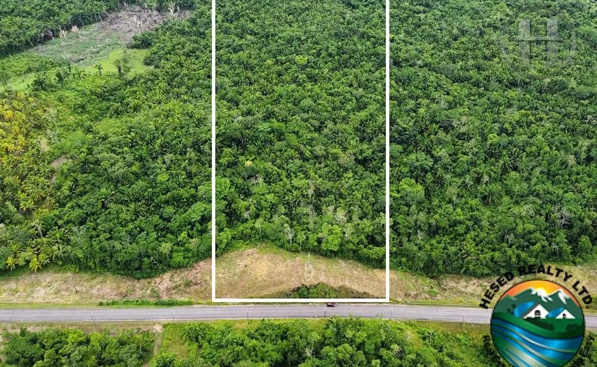 40-acres-virgin-land-big-falls-belize-01