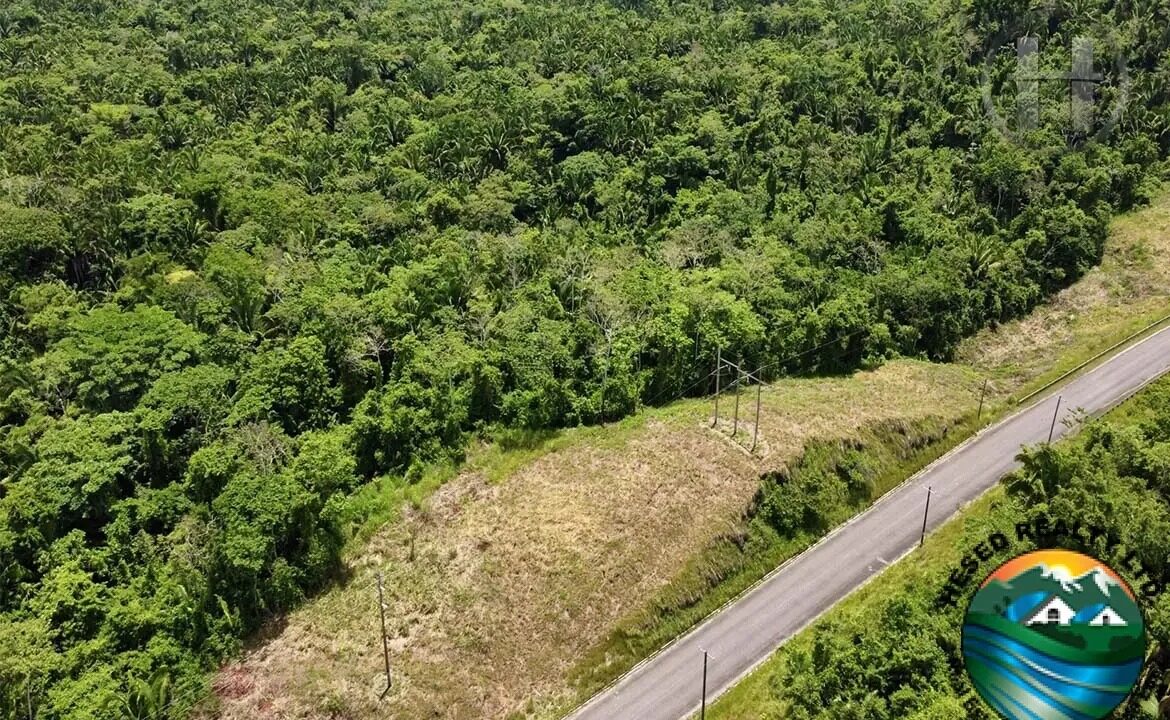 40-acres-virgin-land-big-falls-belize-02