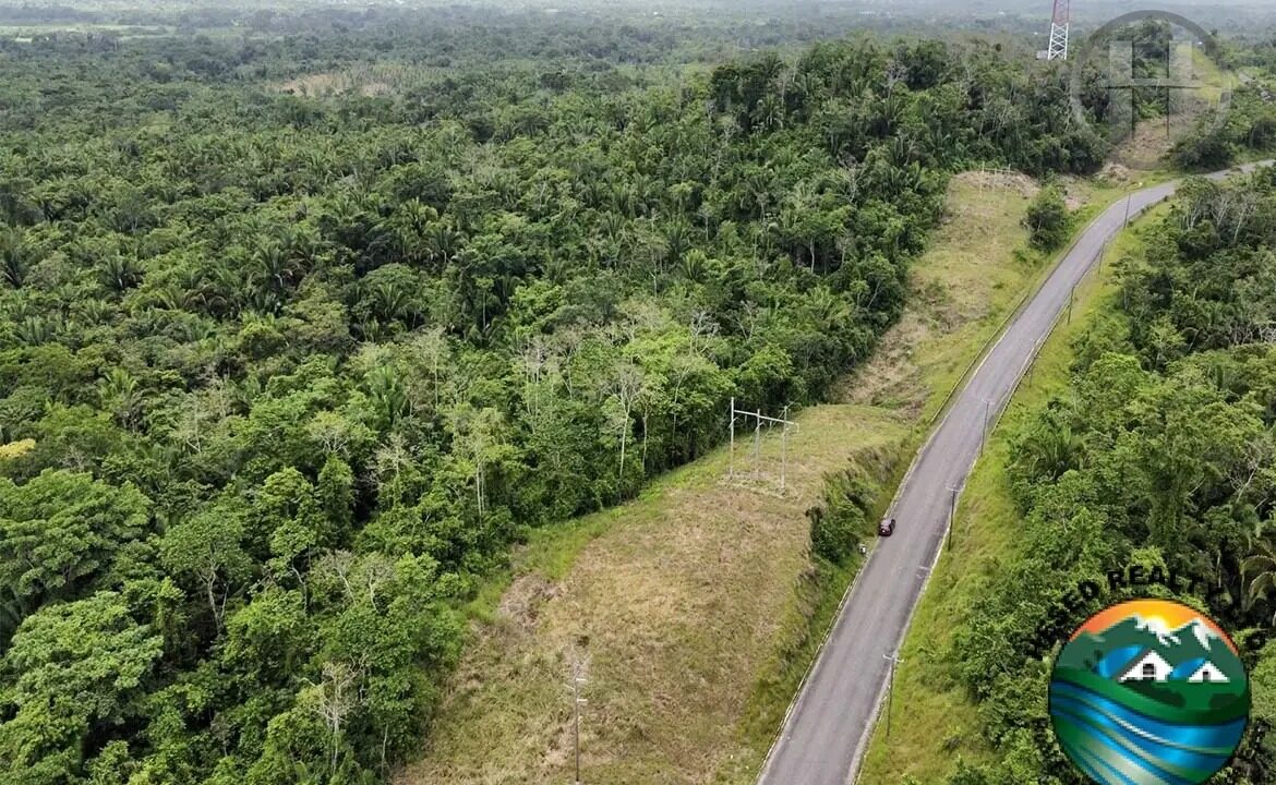 40-acres-virgin-land-big-falls-belize-04