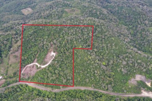46-7-acres-land-for-sale-cayo-belize-01