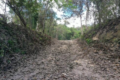 46-7-acres-land-for-sale-cayo-belize-08