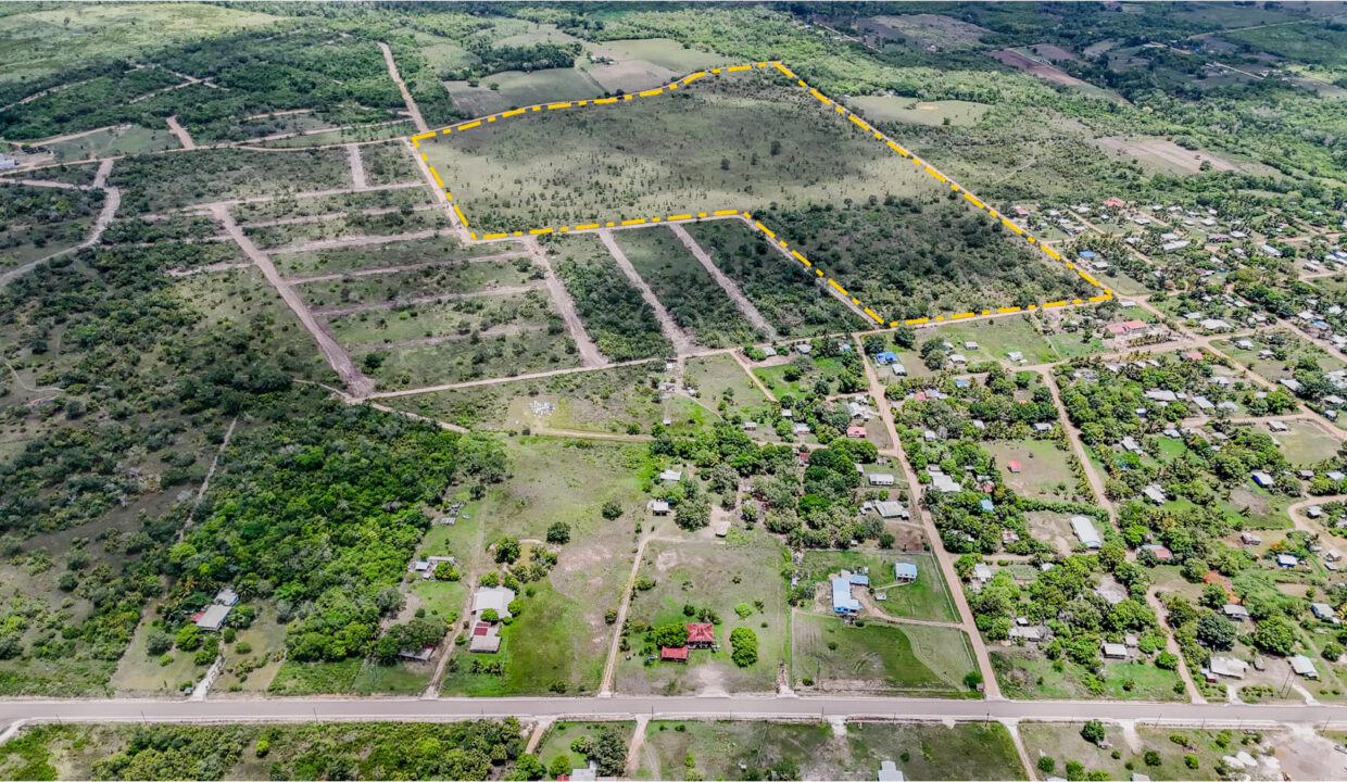 8020Acre20Development20Land20Billy20White20Cayo20Belize2003