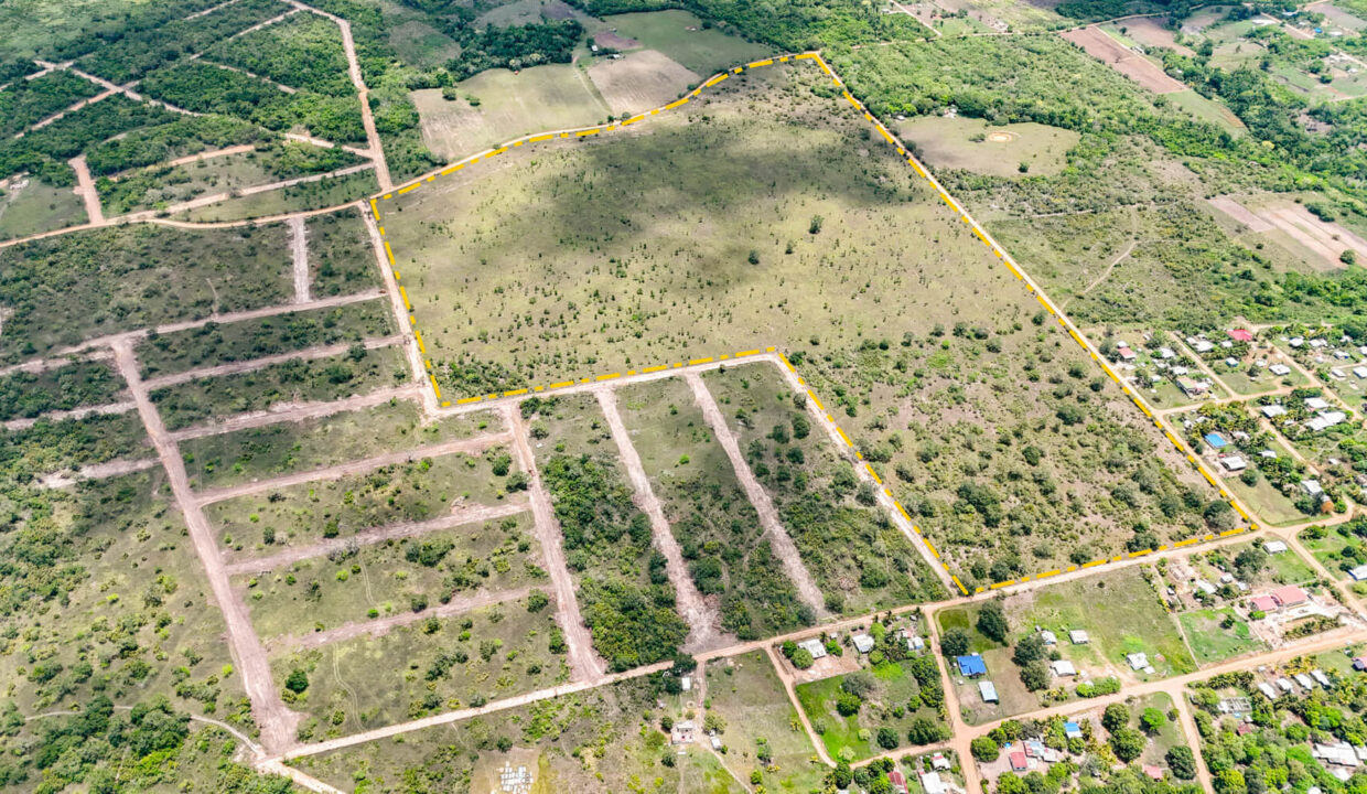8020Acre20Development20Land20Billy20White20Cayo20Belize2004