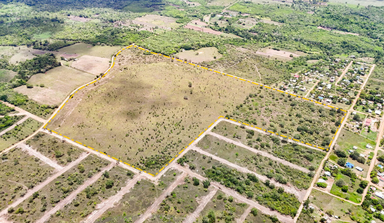 8020Acre20Development20Land20Billy20White20Cayo20Belize2005