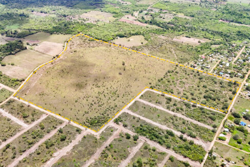 8020Acre20Development20Land20Billy20White20Cayo20Belize2005