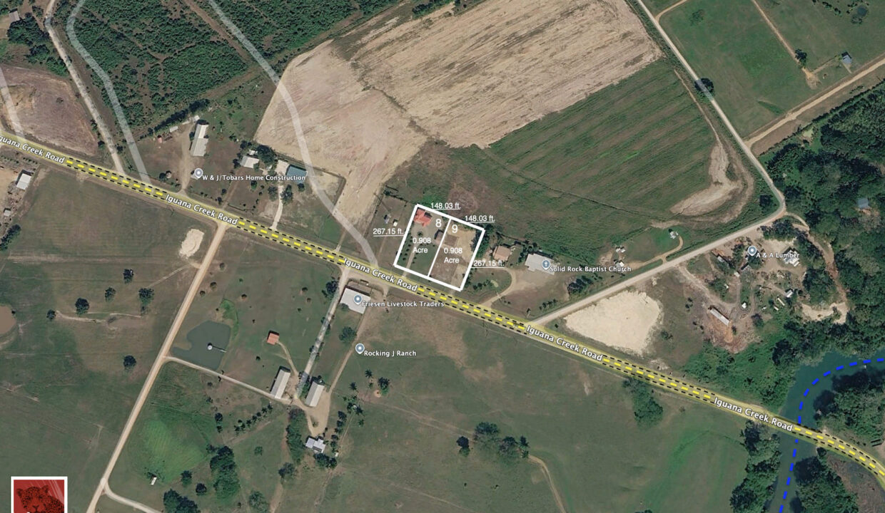 Sat20Sketch20Lots20820and20920Iguana20Creek