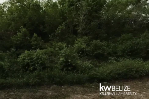 kellerwilliamsbelize-jwl102609hv-04
