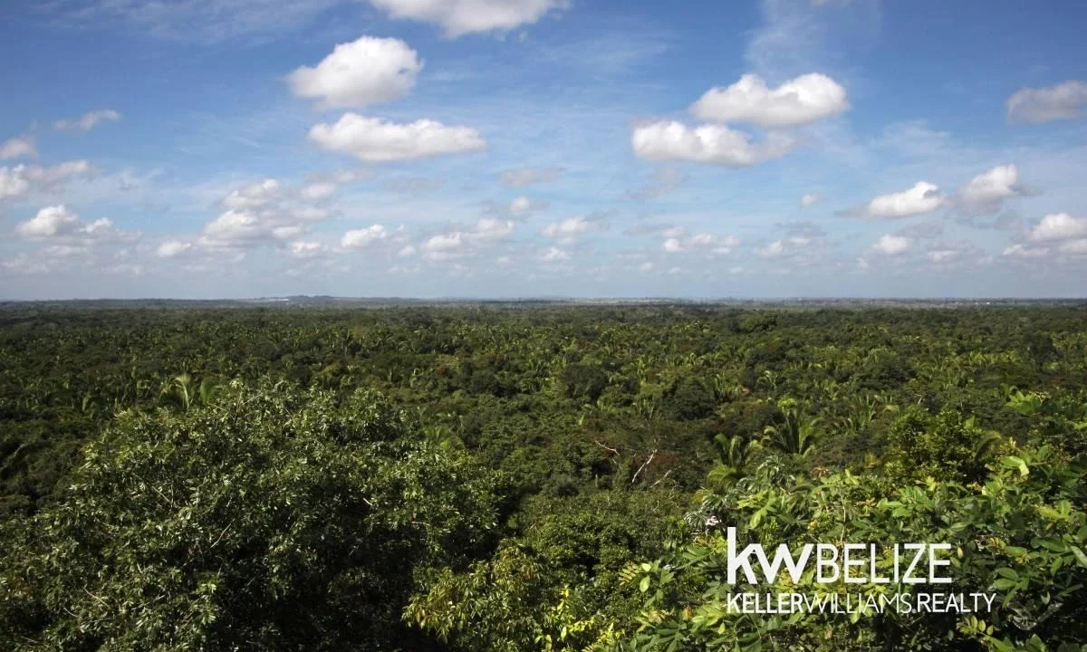 kellerwilliamsbelize-l152606dh-02