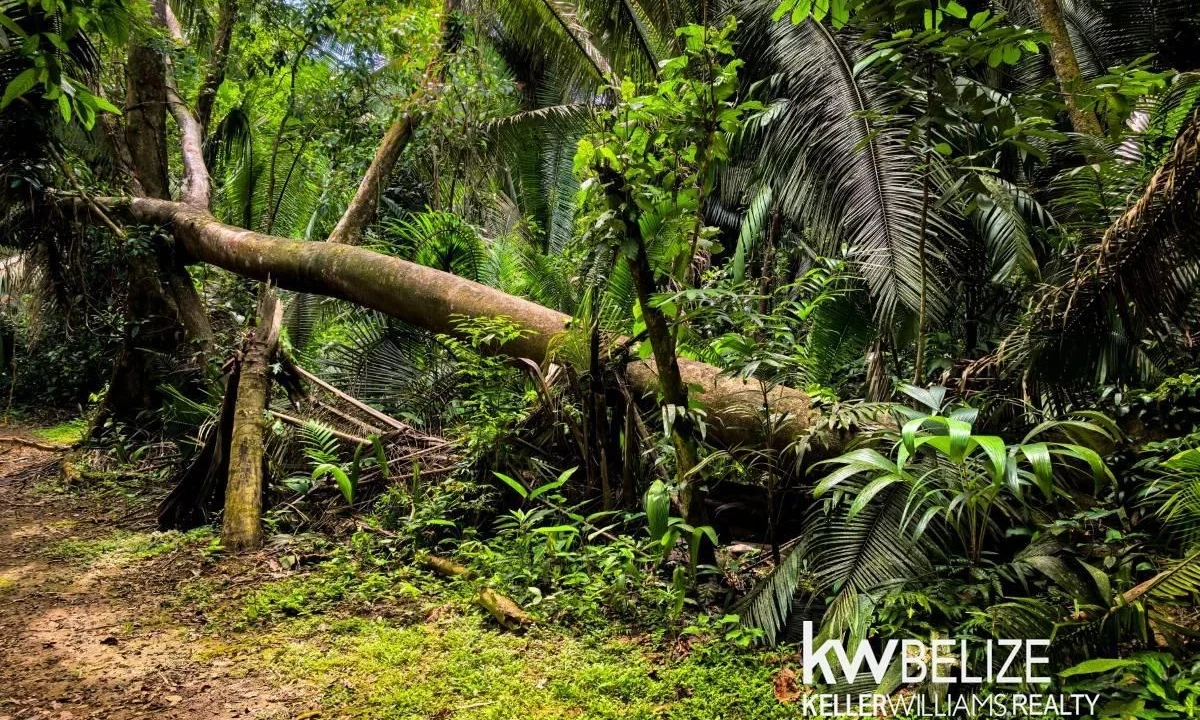 kellerwilliamsbelize-l152606dh-06