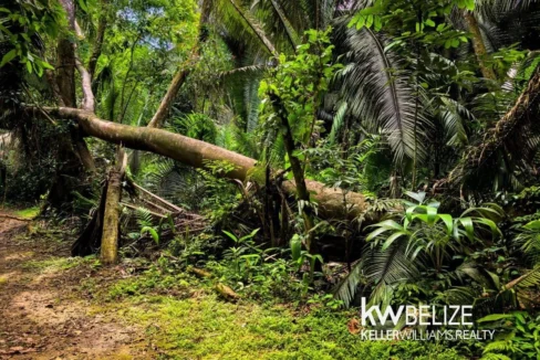 kellerwilliamsbelize-l152606dh-06
