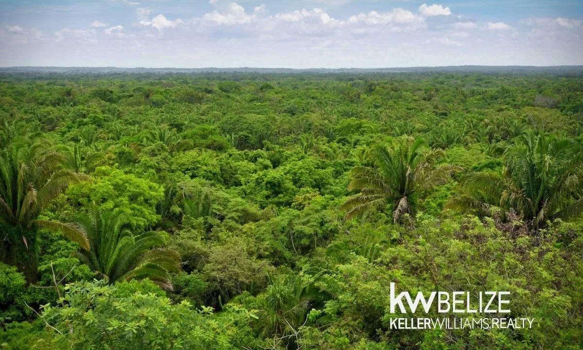 kellerwilliamsbelize-l152606dh-09