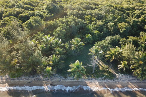 DCIM\100MEDIA\DJI_0086.JPG