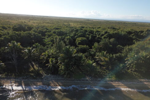 DCIM\100MEDIA\DJI_0079.JPG