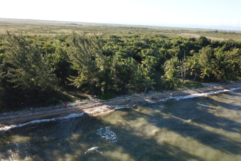 DCIM\100MEDIA\DJI_0071.JPG