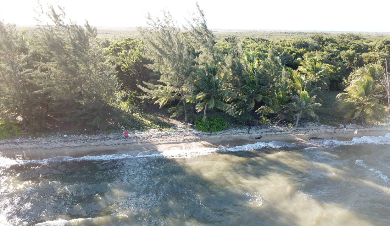 DCIM\100MEDIA\DJI_0070.JPG