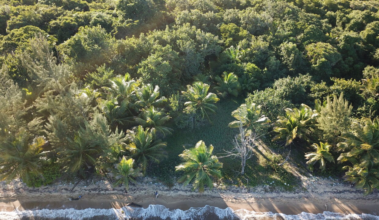 DCIM\100MEDIA\DJI_0086.JPG