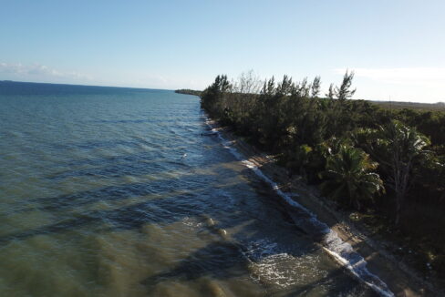 DCIM\100MEDIA\DJI_0083.JPG