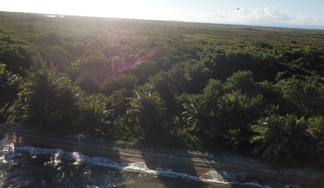 DCIM\100MEDIA\DJI_0078.JPG